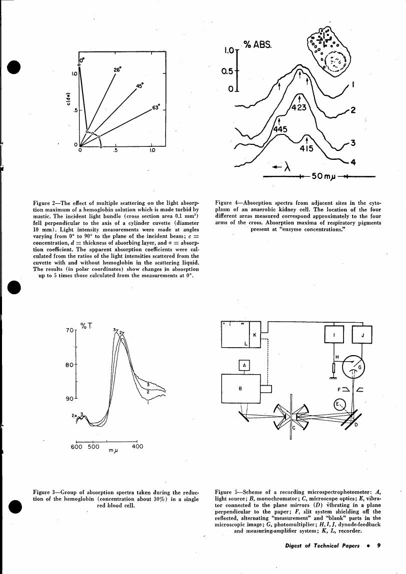 AI-described figure: Figure 2 illustrates the effect of multiple scattering on light absorption maximum in a hemoglobin solution.