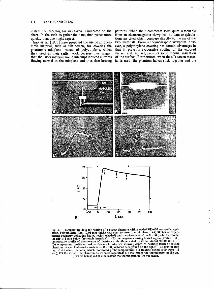 Figure 3. Temperature data for heating of a planar phantom with a loaded WR-430 waveguide applicator.