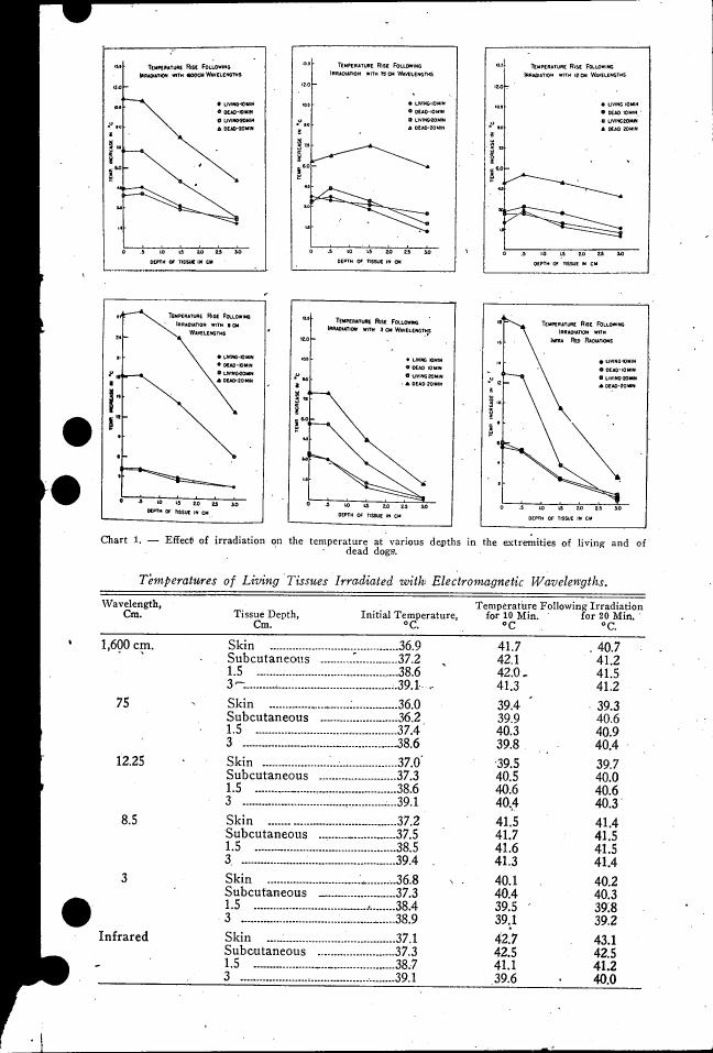 Chart 1. Effect of irradiation on the temperature at various depths in the extremities of living and dead dogs.