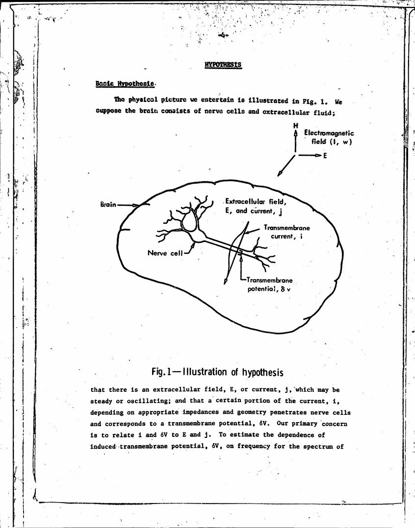 AI-described figure: Figure 1 illustrates a hypothesis about brain structure and electrical activity involving nerve cells, extracellular fields, currents, and transmembrane potentials.