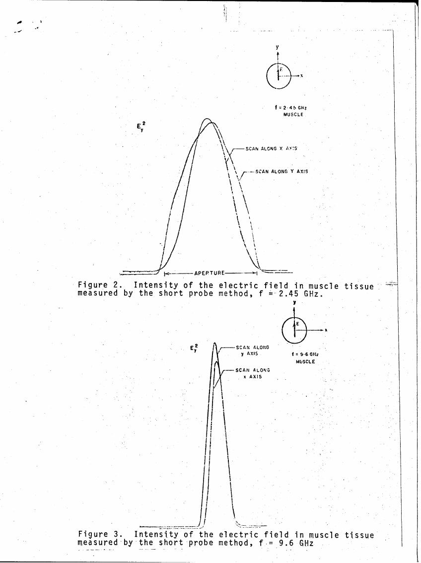 Figure 2. Intensity of the electric field in muscle tissue measured by the short probe method, f = 2.45 GHz.