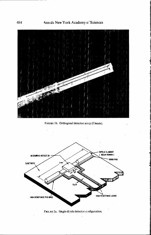 Figure 1b. Orthogonal detector array (I beam).