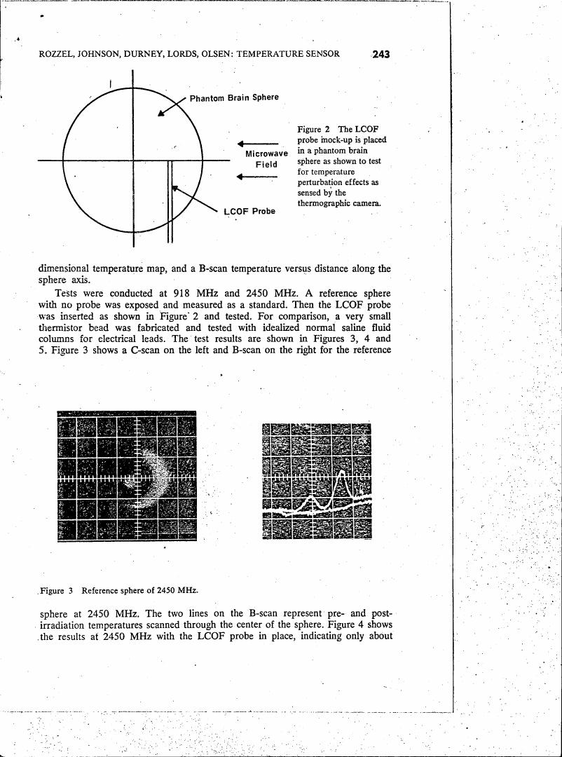 AI-described figure: Figure 2 illustrates a phantom brain sphere with an LCOF probe and microwave field setup for testing temperature perturbation effects.