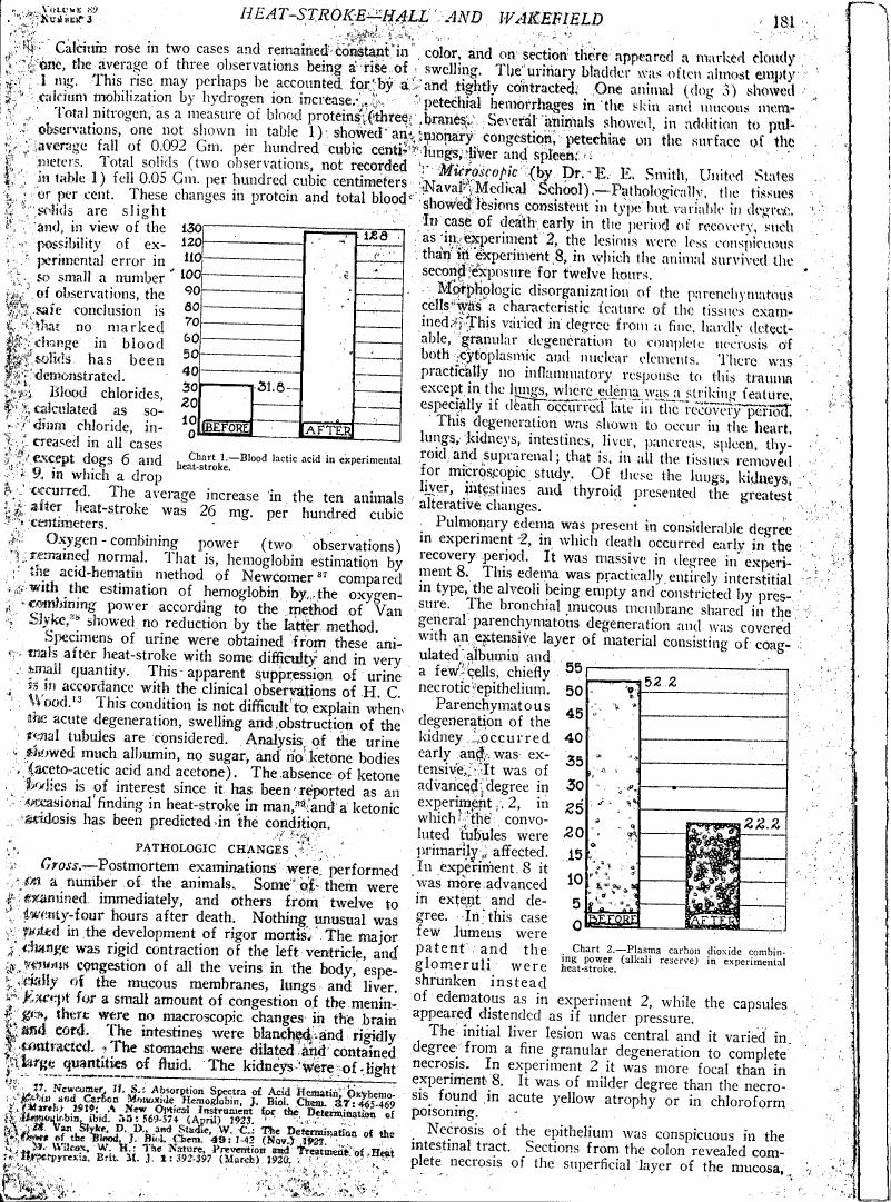 AI-described figure: Chart showing blood lactic acid levels before and after heat stroke in experimental animals.