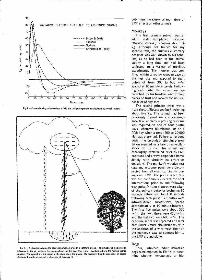 Fig. 8 - Curves showing radiative electric field due to lightning stroke as calculated by several authors.