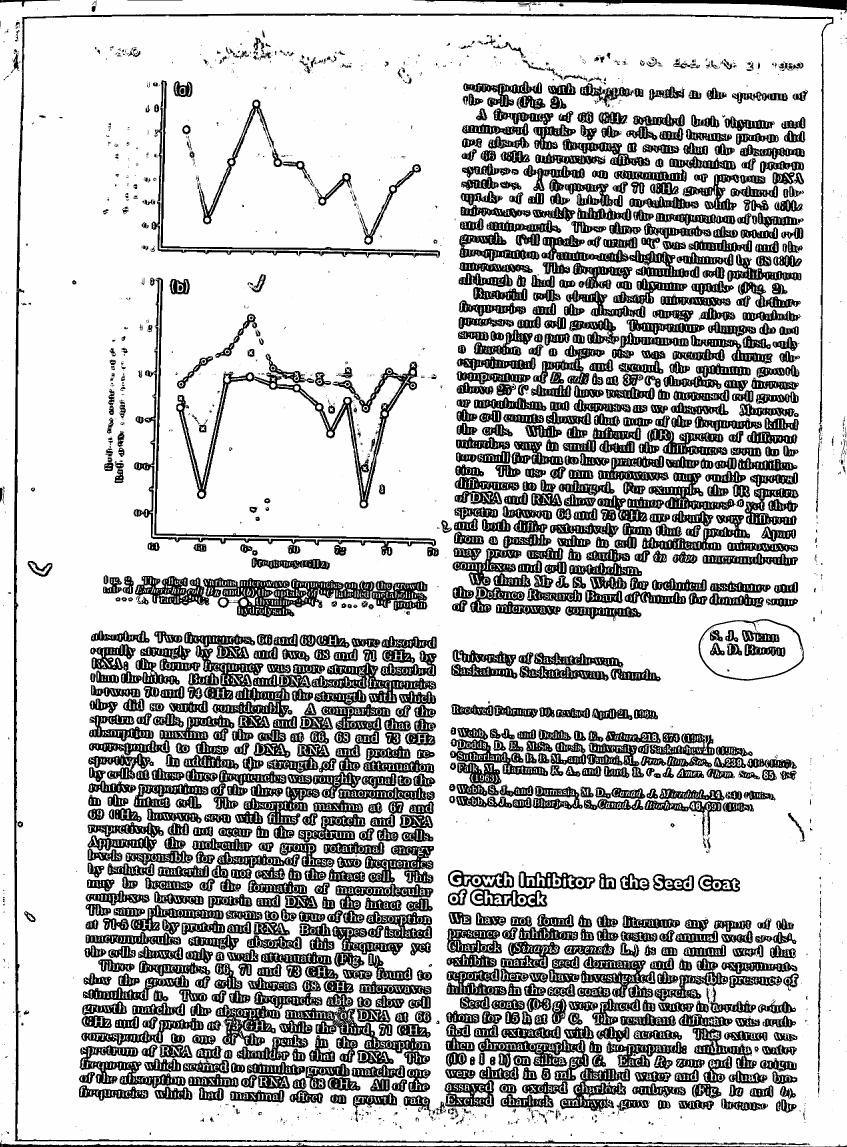 The effect of various microwave frequencies on cell growth and the uptake of labeled nucleotides.