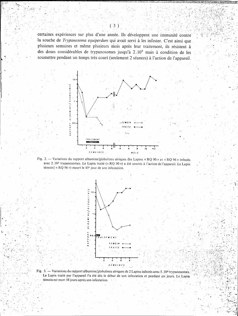 Fig. 2 - Variations du rapport albumine/globulines sériques des Lapins « RQ 90 » et « RQ 96 » infectés avec 2.10^8 trypanosomes.