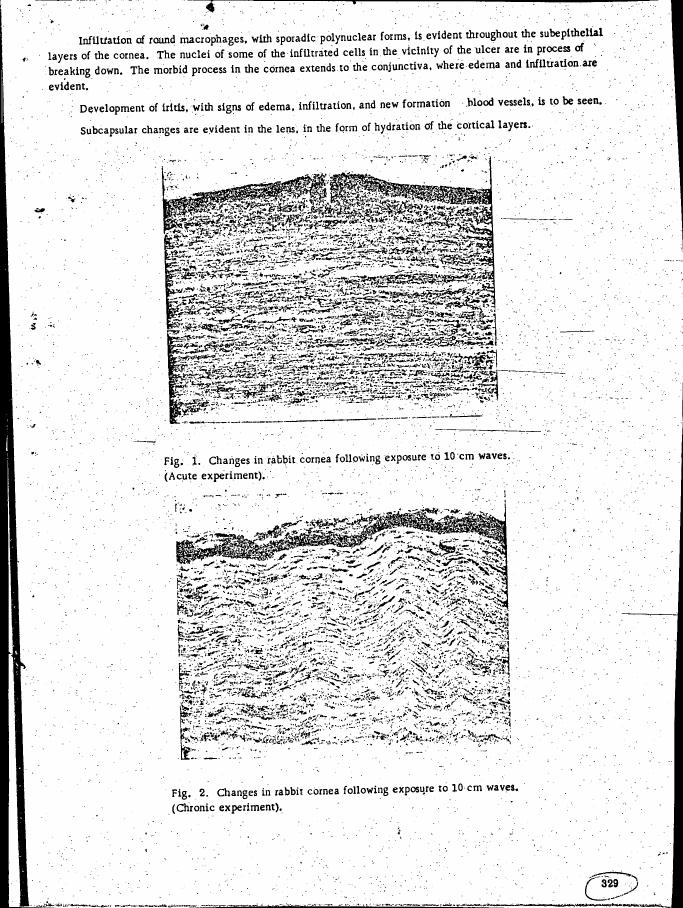 AI-described figure: Fig. 1 and Fig. 2 show changes in rabbit cornea following exposure to 10 cm waves during acute and chronic experiments, respectively.