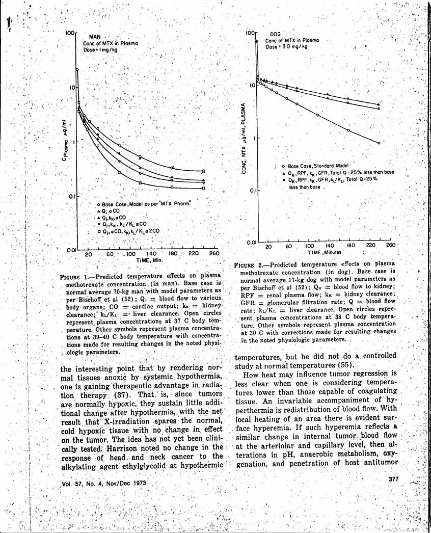 Figure 1 displays predicted temperature effects on plasma methotrexate concentration in humans, with various physiological parameters affecting drug clearance.