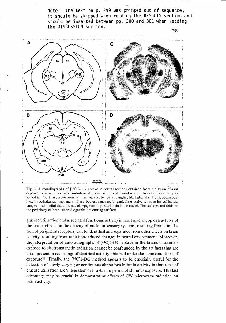 AI-described figure: Autoradiographs showing [14C]2-DG uptake in rostral sections from a rat brain exposed to pulsed microwave radiation, with labels for various brain structures.