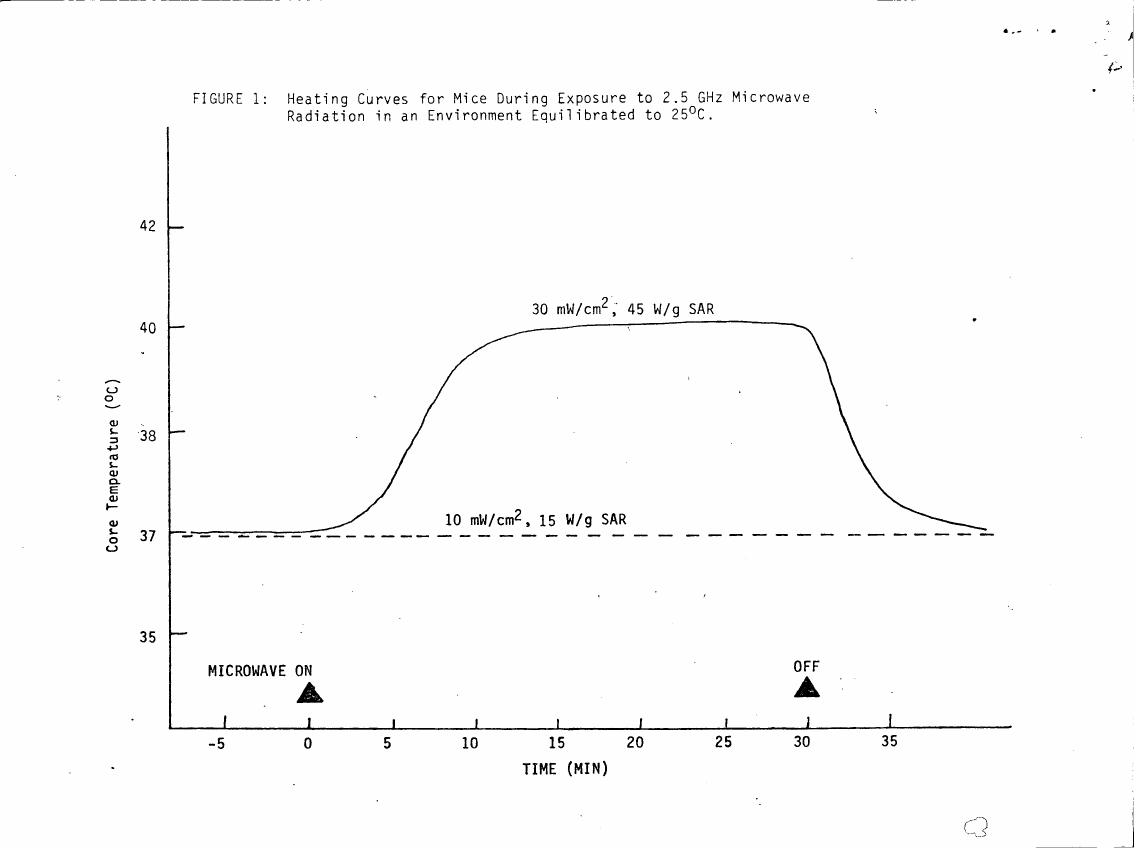 Figure 1: Heating Curves for Mice During Exposure to 2.5 GHz Microwave Radiation in an Environment Equilibrated to 25°C.