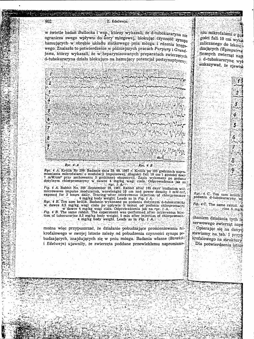 AI-described figure: Electroencephalogram (EEG) recordings from a rabbit after microwave irradiation and subsequent drug administration.