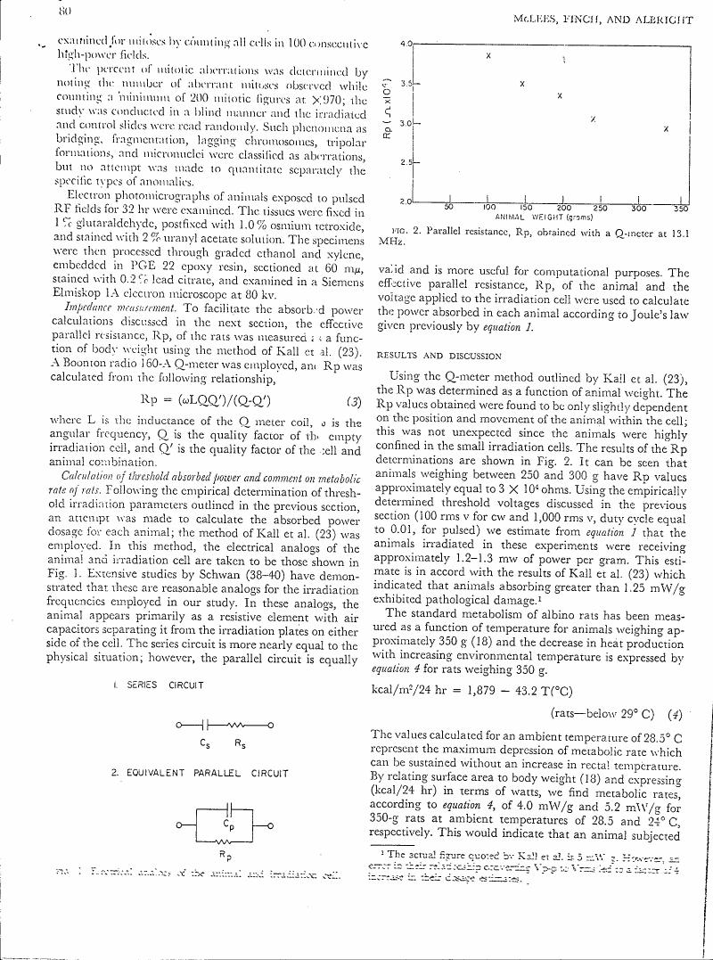 AI-described figure: Figure 2 displays parallel resistance (Rp) values obtained with a Q-meter at 13.1 MHz as a function of animal weight in grams.