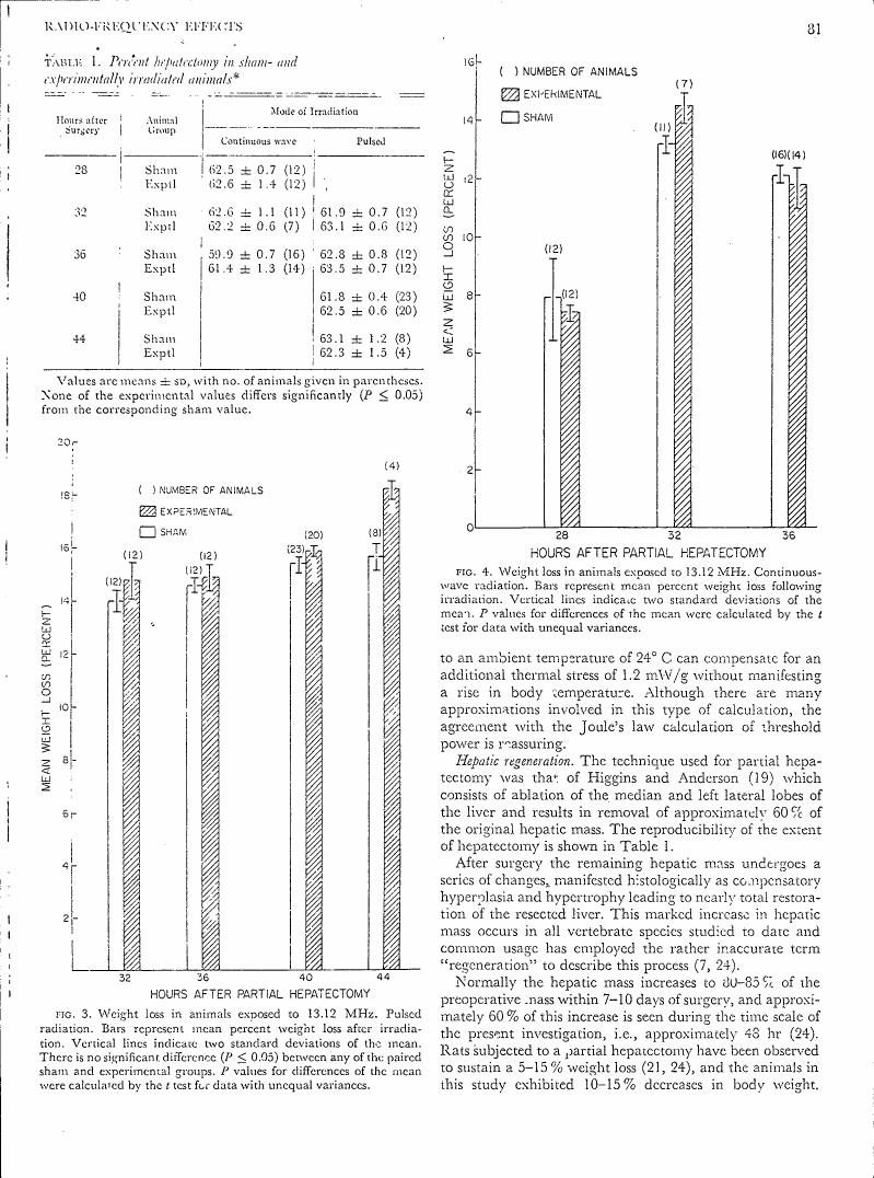 AI-described figure: Figure 4: Weight loss in animals exposed to 13.12 MHz continuous-wave radiation over different hours after partial hepatectomy.