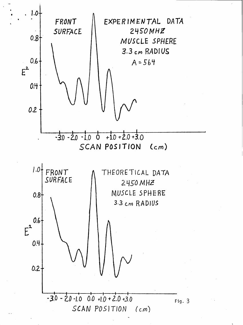 AI-described figure: Experimental and theoretical data for a muscle sphere at 2450 MHz with a radius of 3.3 cm.