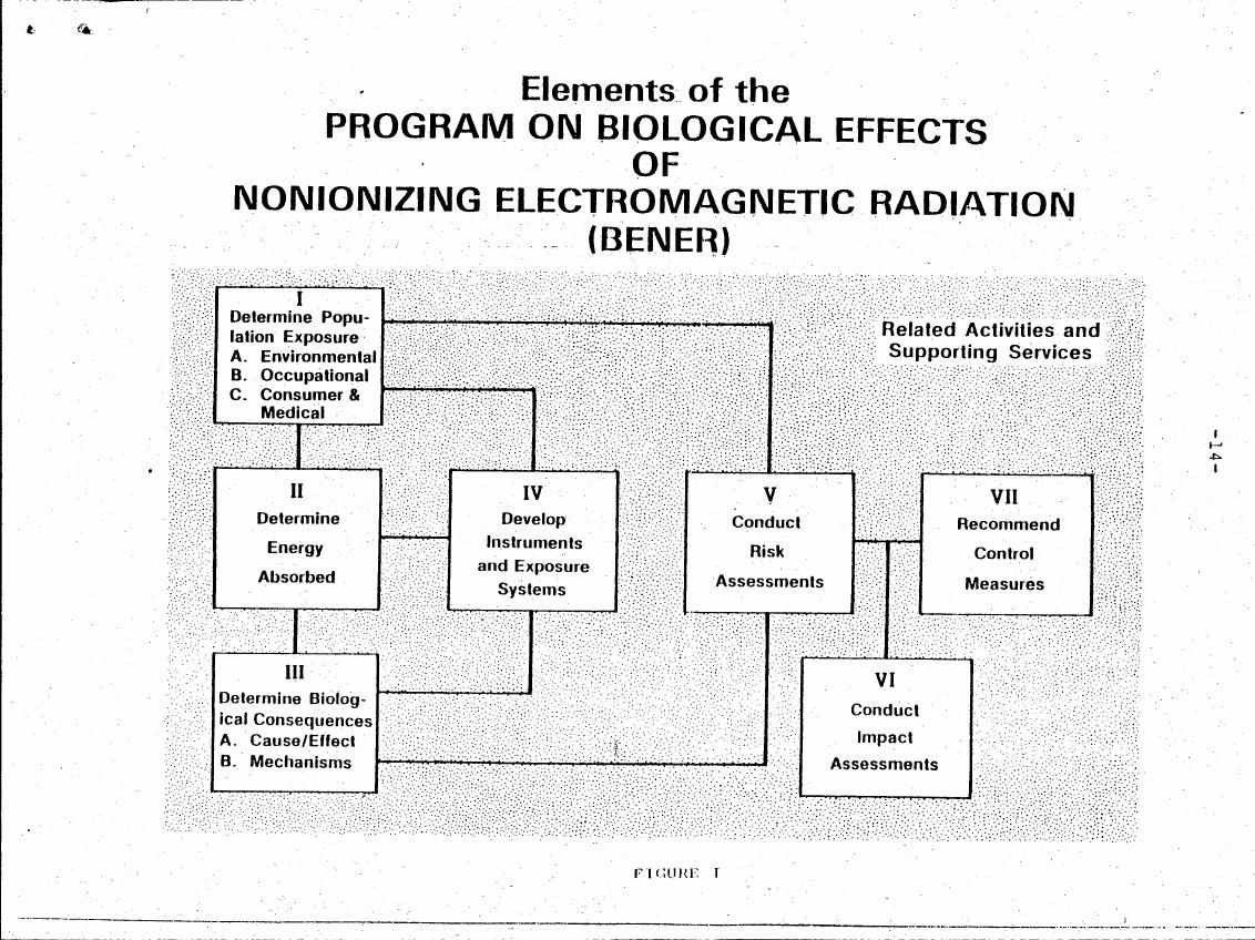 AI-described figure: A flowchart illustrating elements of a program on biological effects of nonionizing electromagnetic radiation (BENER), including steps from determining population exposure to recommending control measures.