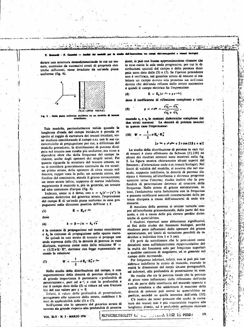 AI-described figure: Figure 6 illustrates an incident plane wave on a stratified tissue model.