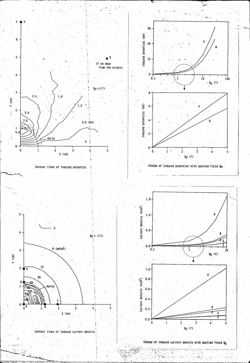AI-described figure: The figure displays contour lines and graphs illustrating induced potential and current density in relation to an applied magnetic field B0.