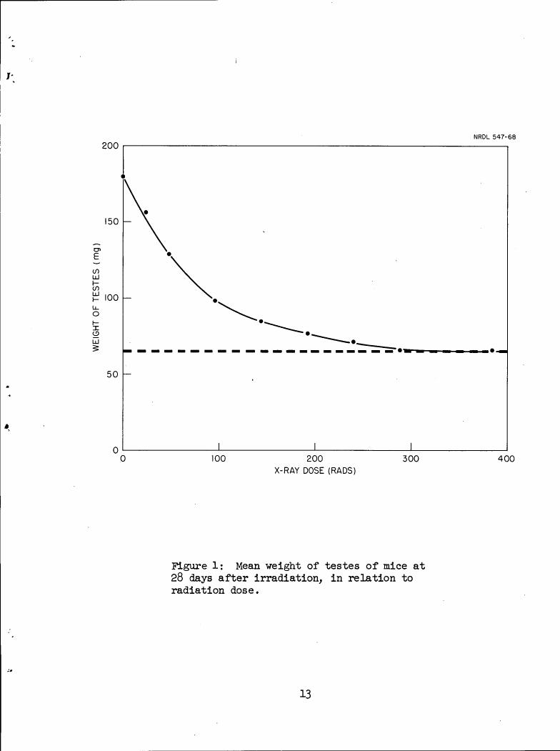 Figure 1: Mean weight of testes of mice at 28 days after irradiation, in relation to radiation dose.