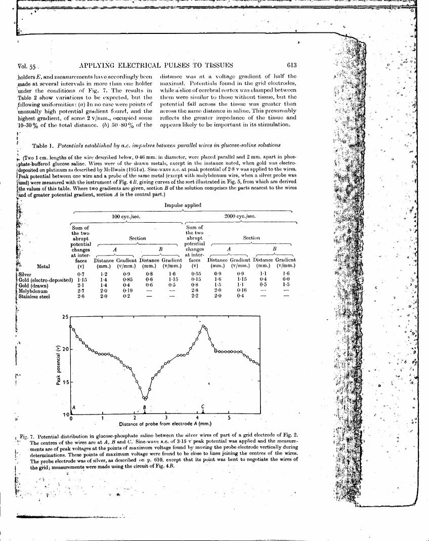 Figure 7 illustrates the potential distribution in glucose-phosphate saline between the silver wires of part of a grid electrode.