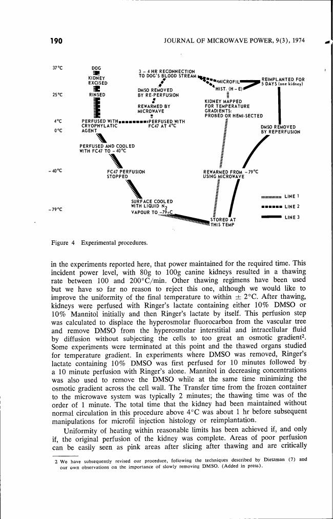 Figure 4 Experimental procedures.