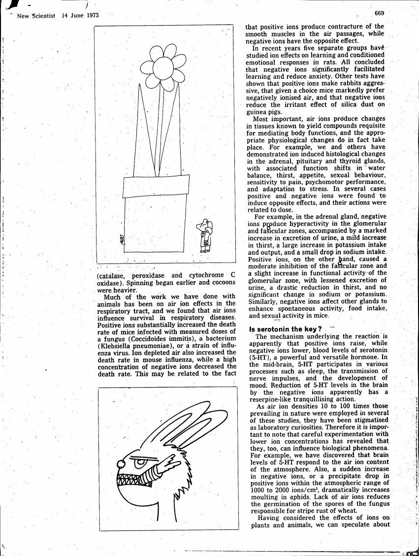 AI-described figure: A simple line drawing depicting a flower in a vase with a rabbit next to it.