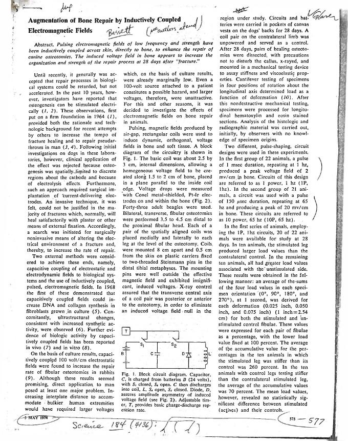 AI-described figure: A block circuit diagram illustrating the setup for inducing electromagnetic fields in bone and soft tissue using coils.