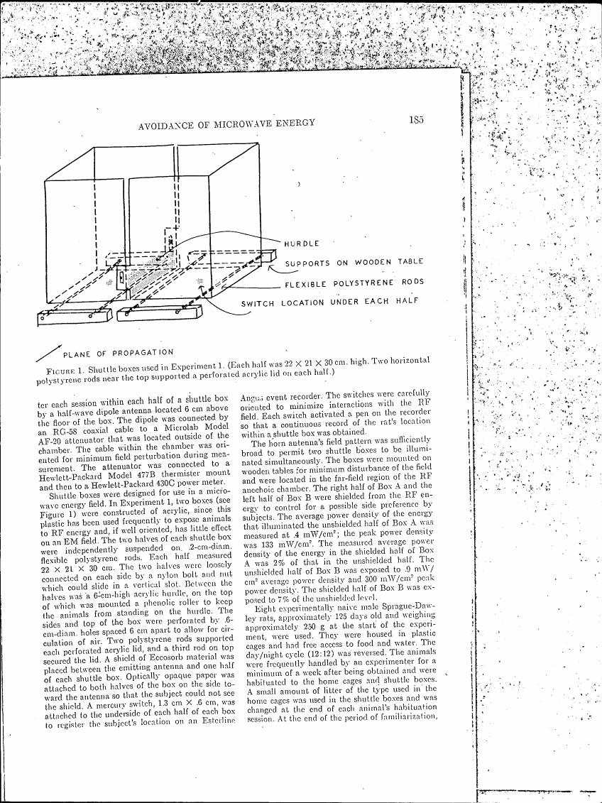 AI-described figure: Figure 1. Shuttle boxes used in Experiment 1.