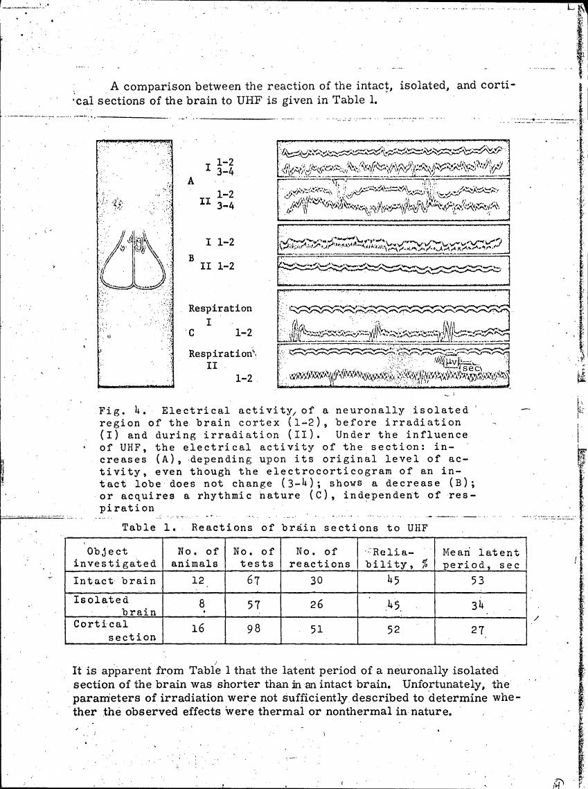 Figure 4. Electrical activity of a neuronally isolated region of the brain cortex (1-2), before irradiation (I) and during irradiation (II).