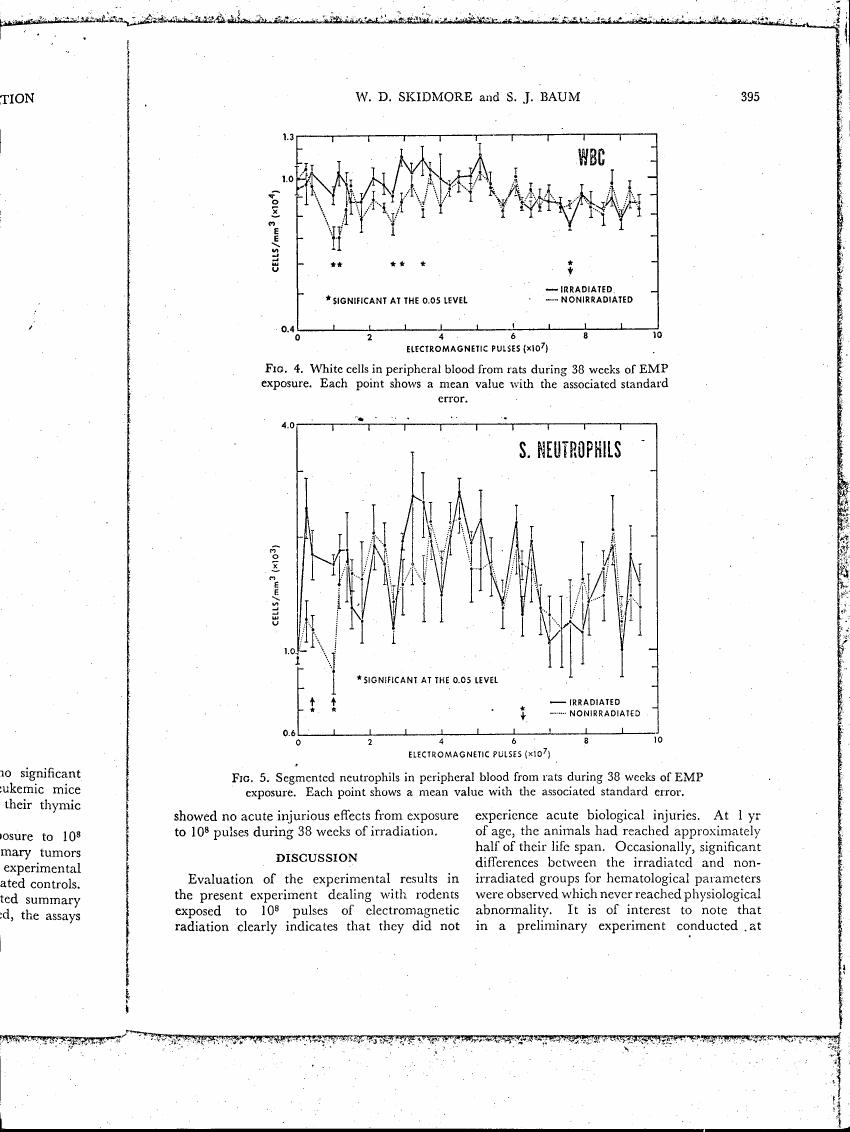 AI-described figure: Figures showing white cells (WBC) and segmented neutrophils in peripheral blood from rats during electromagnetic pulse exposure over a period of weeks.