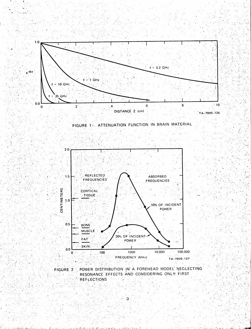 AI-described figure: Figure 1: Attenuation function in brain material