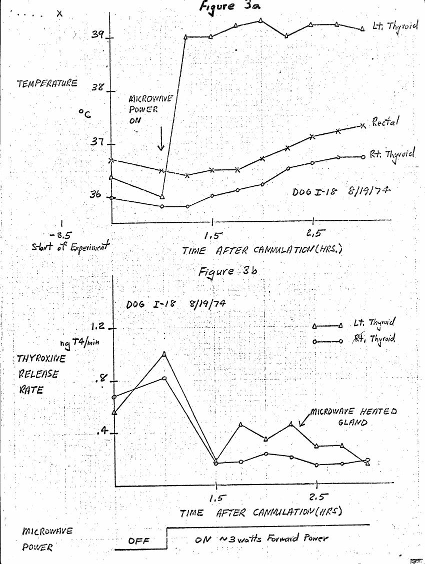 AI-described figure: Figure 3a and Figure 3b show temperature changes in a dog's thyroid glands and thyroxine release rates over time after microwave heating.