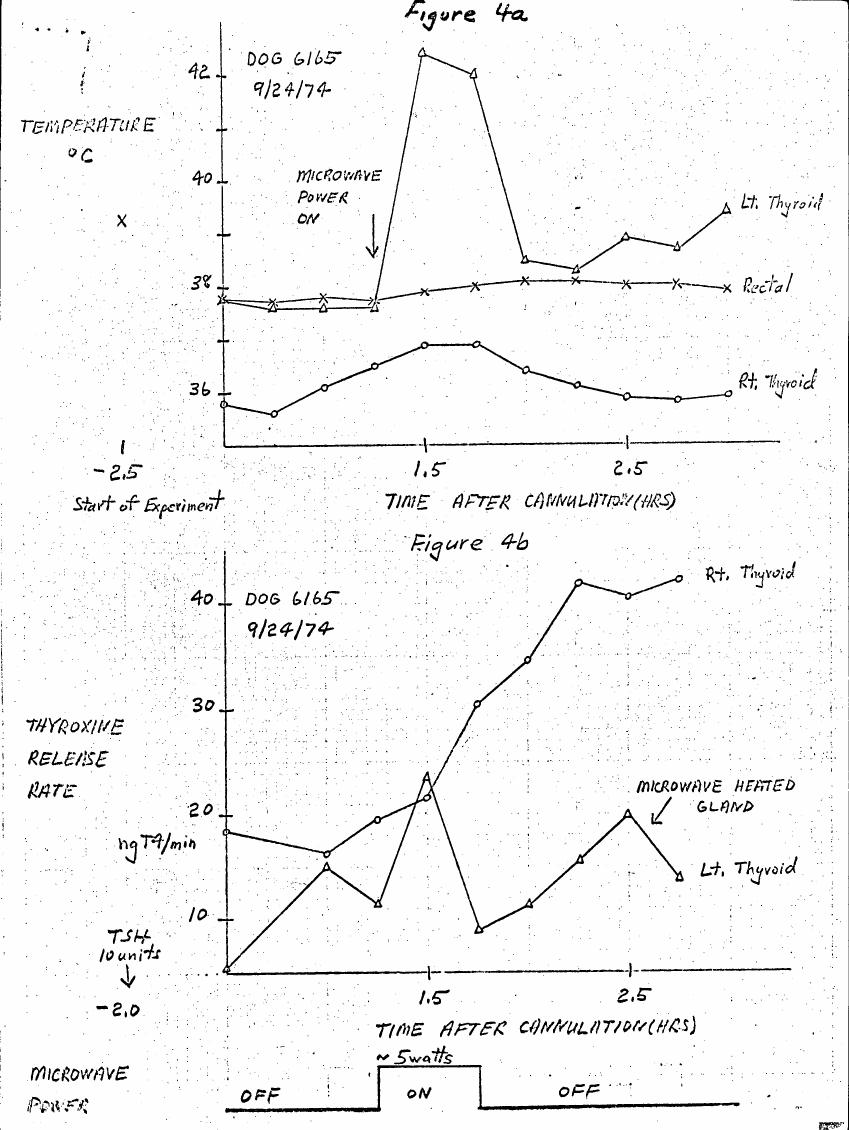 AI-described figure: Figure 4a and Figure 4b show temperature changes in a dog's thyroid glands over time after cannulation, with microwave heating affecting the right thyroid gland.