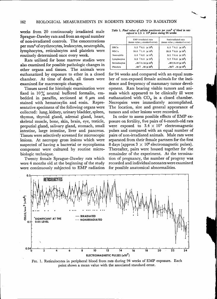 AI-described figure: Figure 1 illustrates reticulocytes in peripheral blood from rats during a 94-week EMP exposure study.