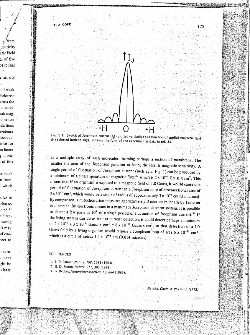 Figure 1. Sketch of Josephson current (Ij) plotted vertically as a function of applied magnetic field (H) plotted horizontally, showing the form of the experimental data in ref. 33.