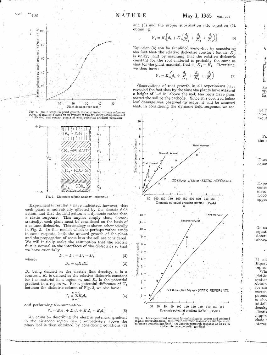 Figure 2 illustrates a grain sorghum plant growth response under various reference potential gradients based on an average of two-day weight comparisons of activated and control plants at each potential gradient condition.
