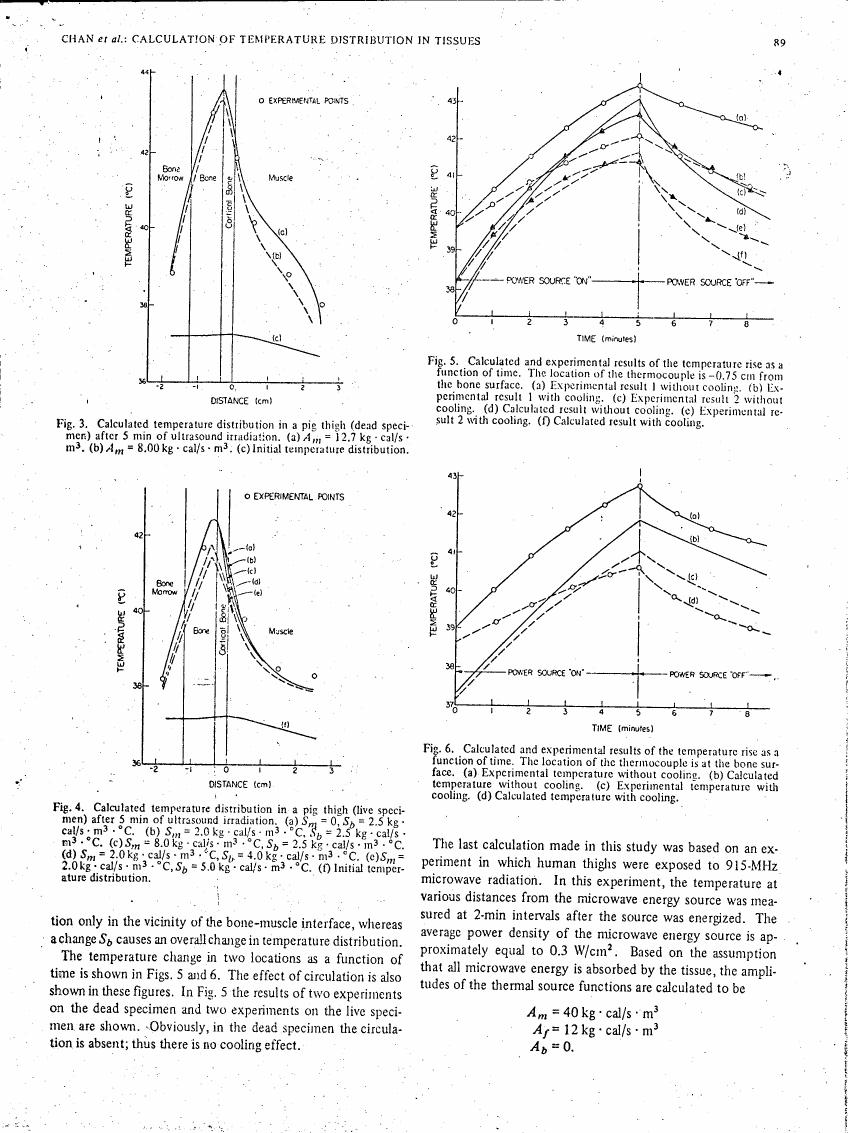 Fig. 3: Calculated temperature distribution in a pig thigh (dead specimen) after 5 min of ultrasound irradiation.
