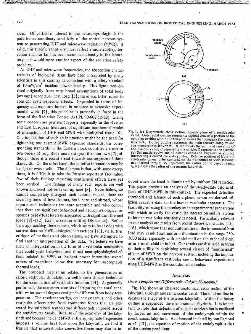 AI-described figure: Fig. 1(a) illustrates a diagramatic cross section through plane of a semicircular canal showing anatomical details relevant to vestibular function.