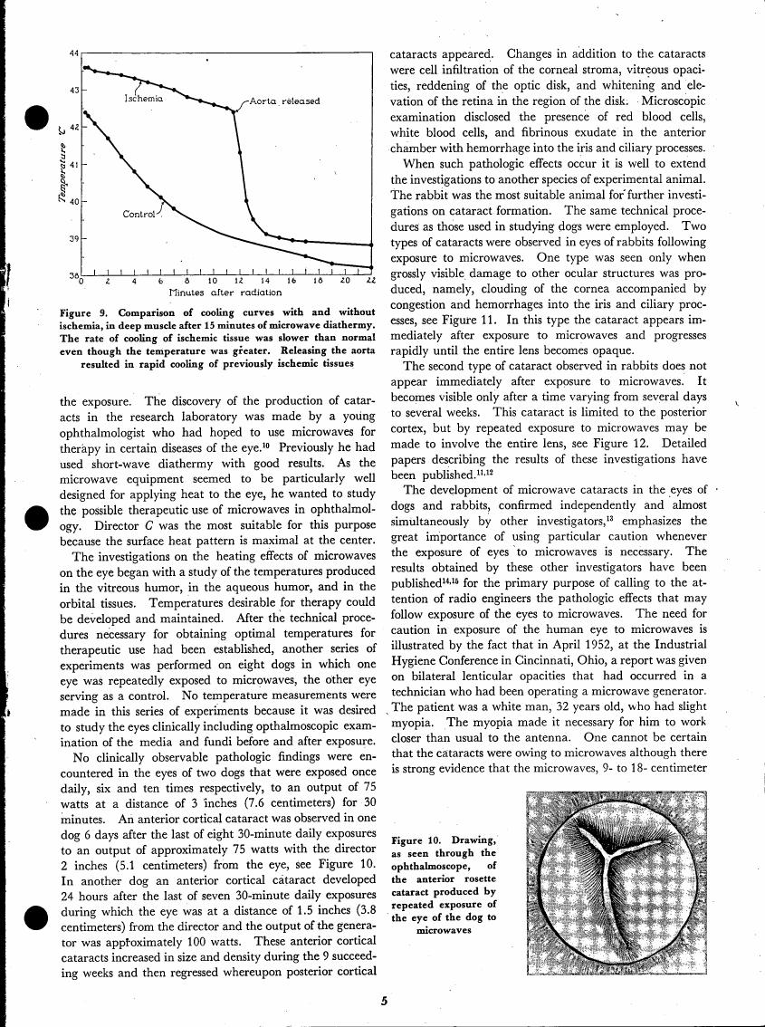 Figure 9. Comparison of cooling curves with and without ischemia in deep muscle after 15 minutes of microwave diathermy.