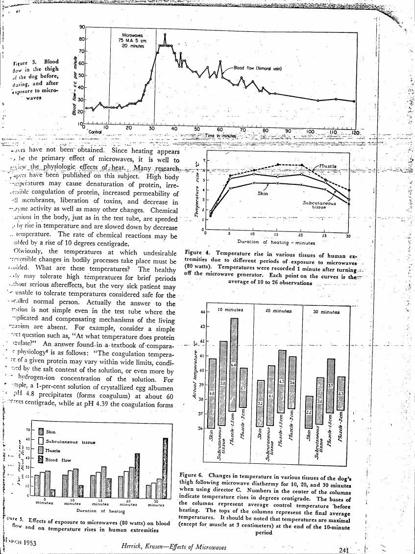 Figure 3. Blood flow in the thigh of a dog before, during, and after exposure to microwaves.
