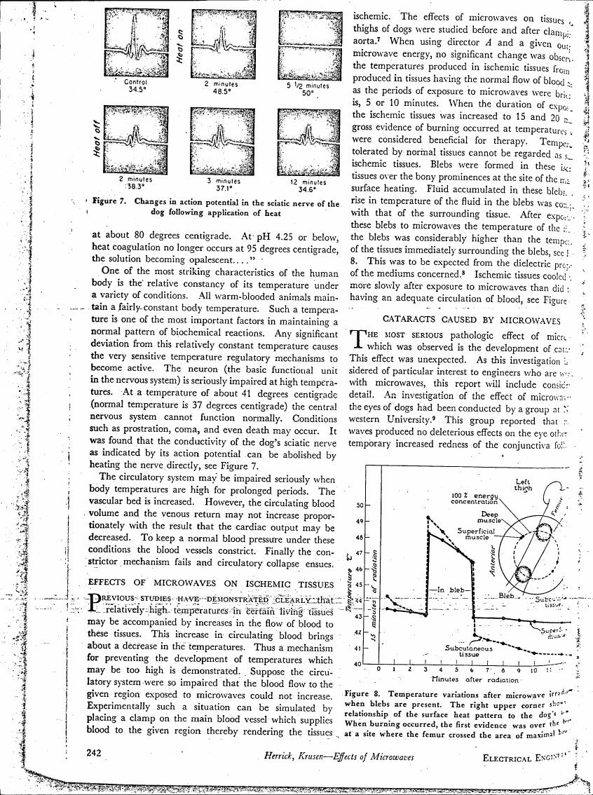 Figure 7. Changes in action potential in the sciatic nerve of the dog following application of heat