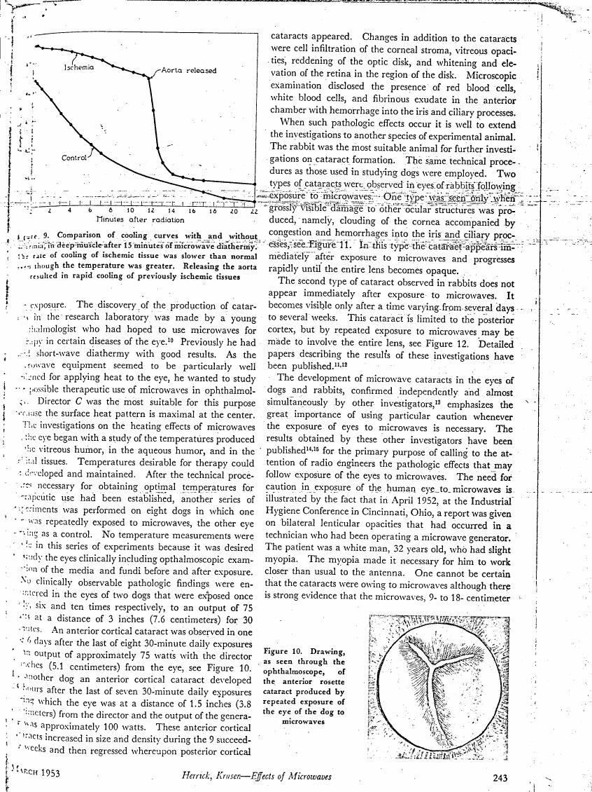 AI-described figure: Figure 9. Comparison of cooling curves with and without radiation in deep tissue after 15 minutes of microwave diathermy.
