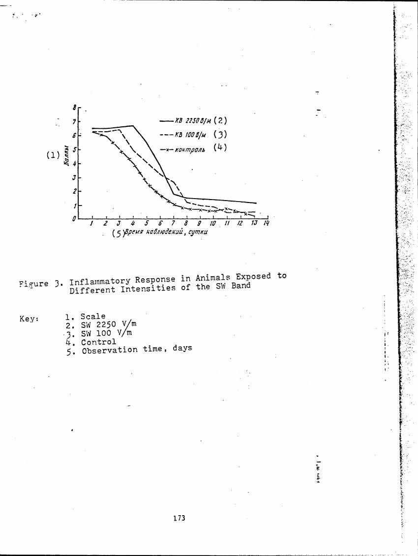 AI-described figure: Figure 3. Inflammatory Response in Animals Exposed to Different Intensities of the SW Band