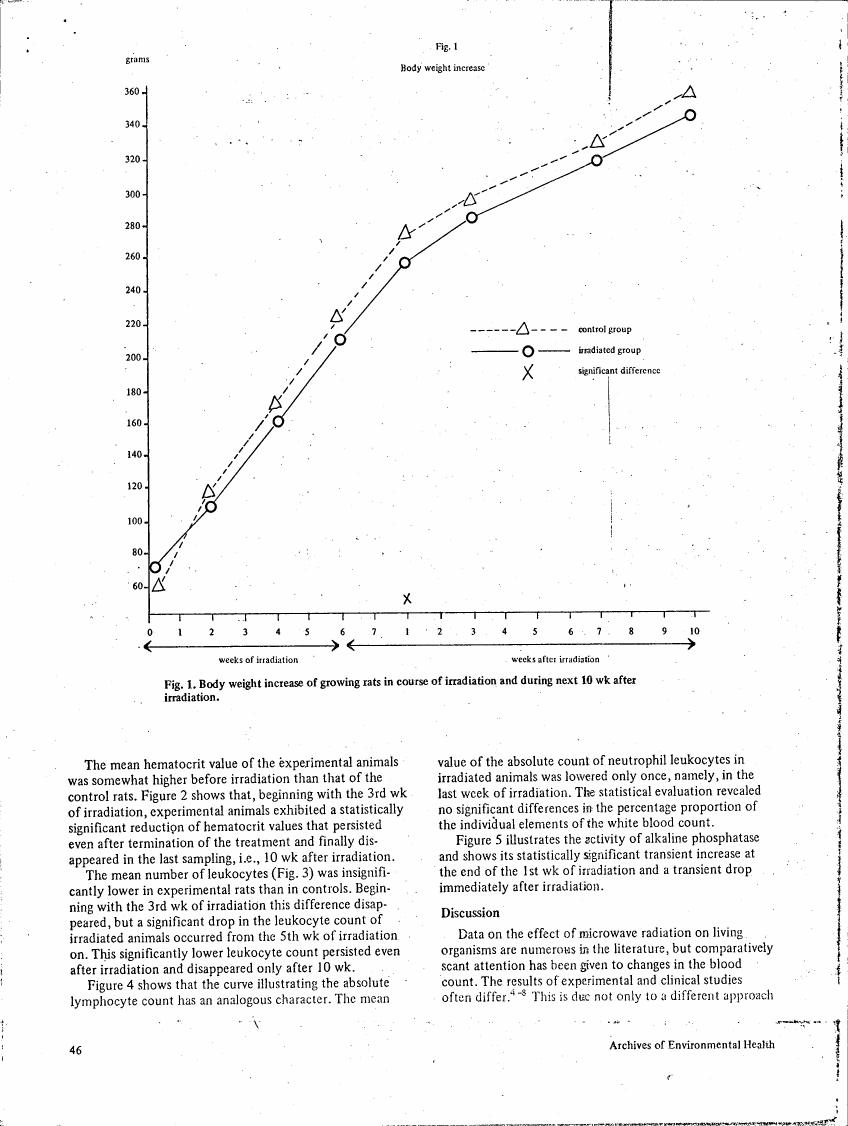 Fig. 1: Body weight increase of growing rats in course of irradiation and during next 10 wk after irradiation.
