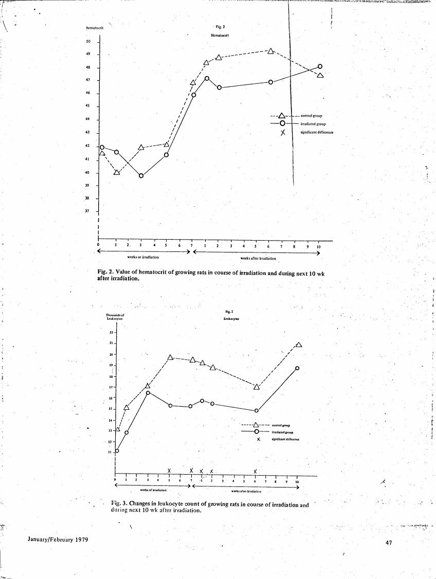 AI-described figure: Fig. 2 and Fig. 3 show changes in hematocrit and leukocyte count for growing rats during irradiation and subsequent weeks.