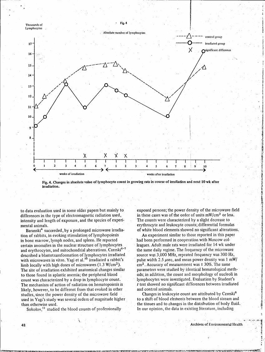 Fig. 4. Changes in absolute value of lymphocyte count in growing rats in course of irradiation and next 10 wk after irradiation.