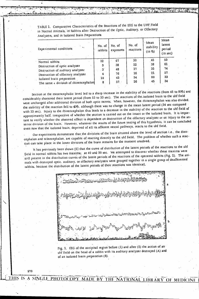 AI-described figure: EEG recordings showing changes before and after applying an UHF field to a rabbit with destroyed auditory analyzer or isolated brain preparation.
