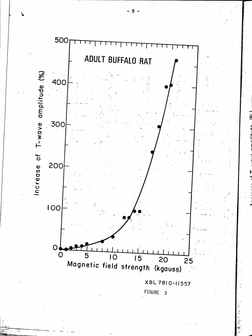 AI-described figure: Figure 3: A graph showing the increase in T-wave amplitude (%) as a function of magnetic field strength (kgauss) for an adult buffalo rat.