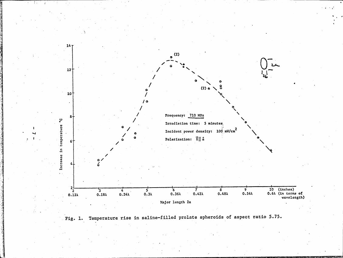 Fig. 1. Temperature rise in saline-filled prolate spheroids of aspect ratio 5.75.
