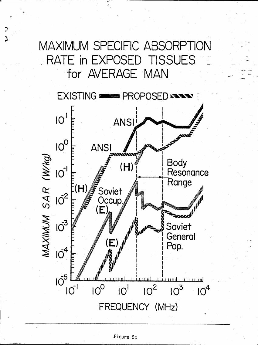 AI-described figure: Figure 5c: Maximum Specific Absorption Rate in Exposed Tissues for Average Man